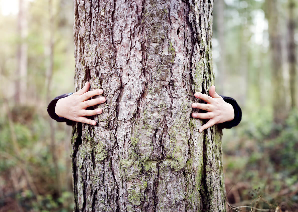 cayoo-nachhaltigkeit-csr-projekt-baum-pflanzen-responsibility